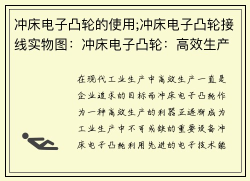 冲床电子凸轮的使用;冲床电子凸轮接线实物图：冲床电子凸轮：高效生产的利器